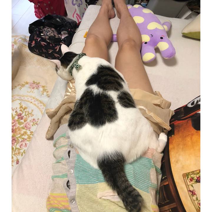 D5a8f5fe 2c46 4197 b9cf a5407402fb9b 1539514716182