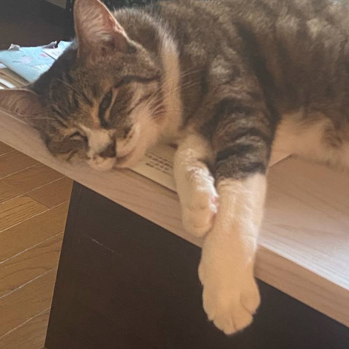 D5a9089c d2dd 42f6 b9dc a774876f07a6 1720080526831