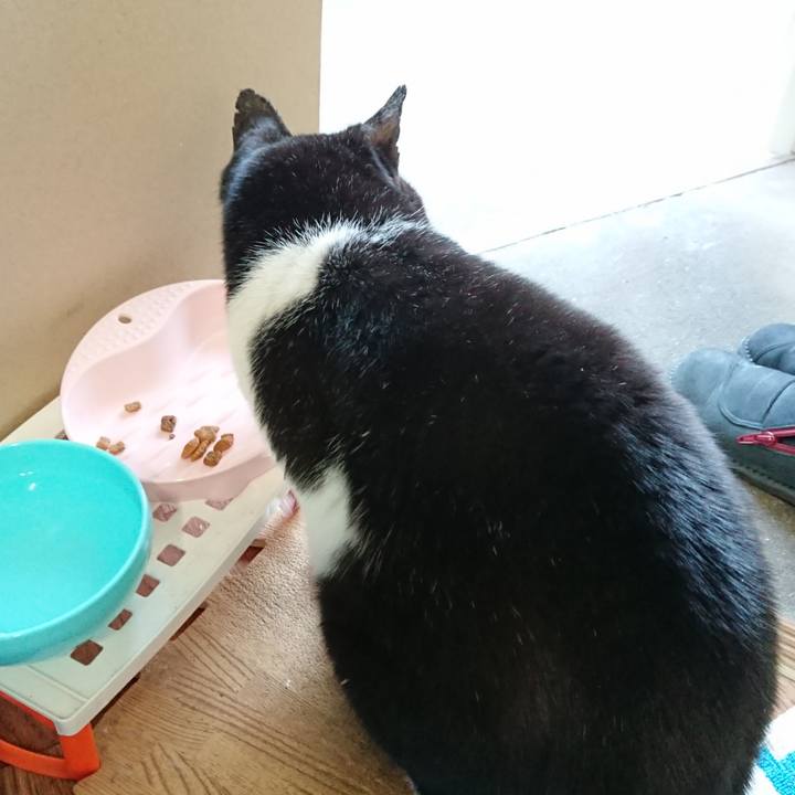 D5a9238e 22d4 4b32 9ea9 71d3f44b8b68 1671435494488