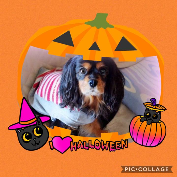 D5a941a3 f02b 48b4 af11 3eef089e7ebe 1539255400271