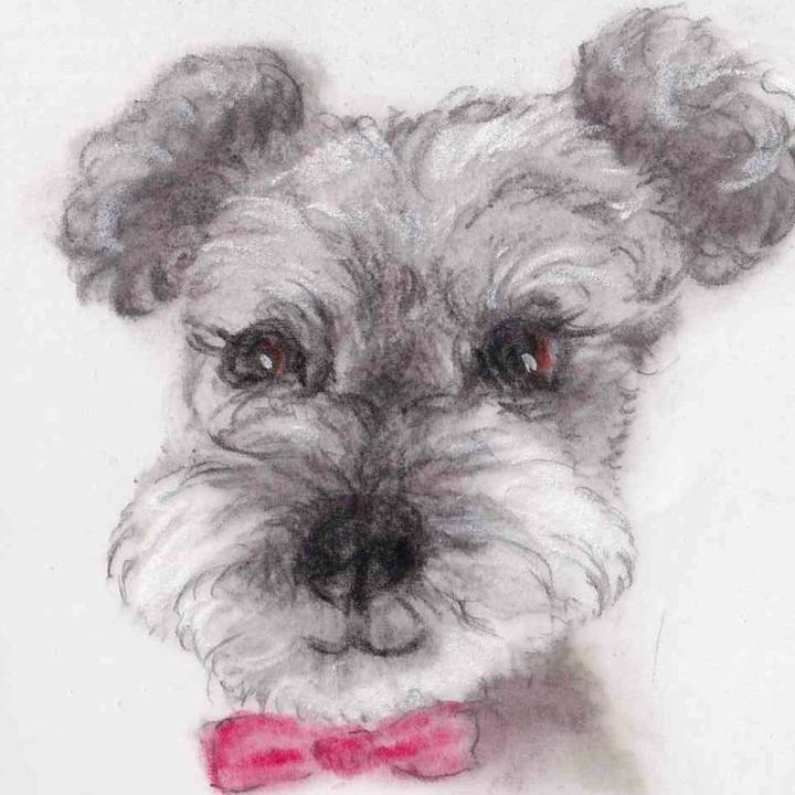 D5a970a0 42c5 4bf1 b422 a2fc4dd09fd5 1660616262036