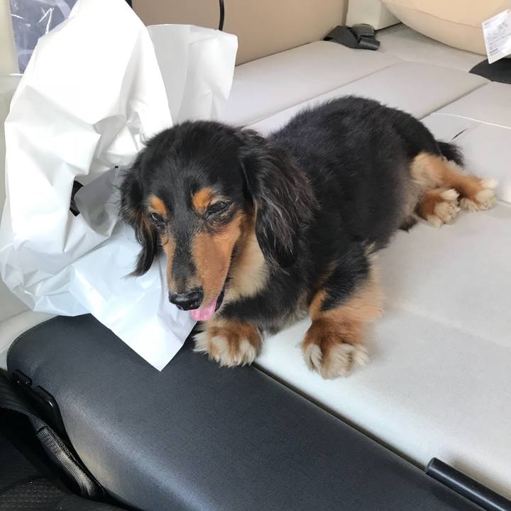 D5a97d23 0ce2 406b bd37 aaeaf1d40ac8 1529810557164