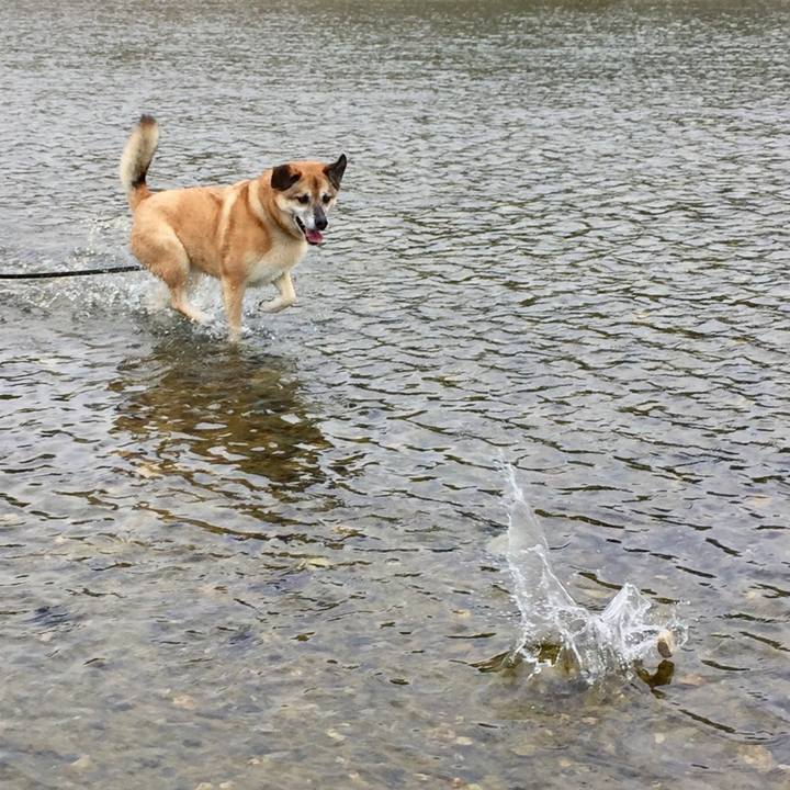 D5a99281 9665 4ada b2da 8a0eede45fa4 1555832053660