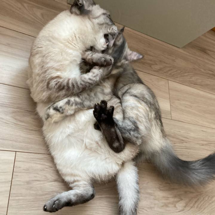 D5a9bdf7 e04d 4560 ab17 4a73316bebc4 1720049269653