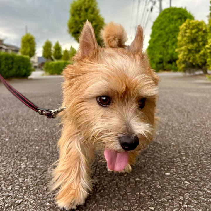 D5a9cd8d ae0f 4de2 8a04 69b71e424520 1758444130411