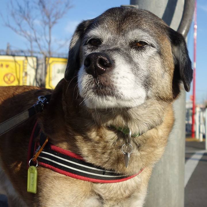 D5aa0b39 e1dd 471e 9813 b24fd24ec392 1657930205290