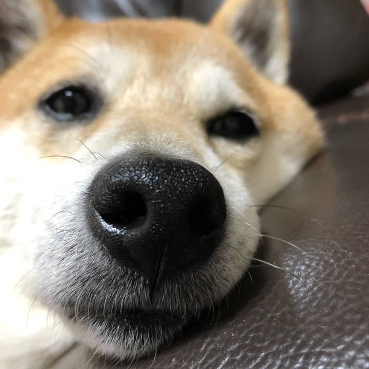 D5aa0d7f b14b 4d73 ad27 223d402d953e 1551138588868