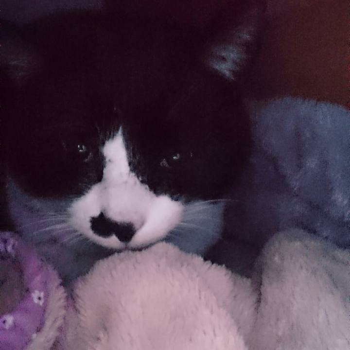 D5aa1708 9df9 47dc a7d0 a05c999f80dd 1517456308132