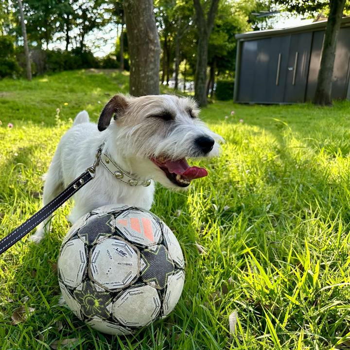 D5aa491f ff98 4e59 b353 2cb12beb963f 1753231793767