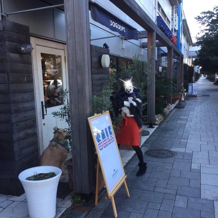 D5aa589a eb8f 4ca0 a700 b12684abe0a0 1514637373536