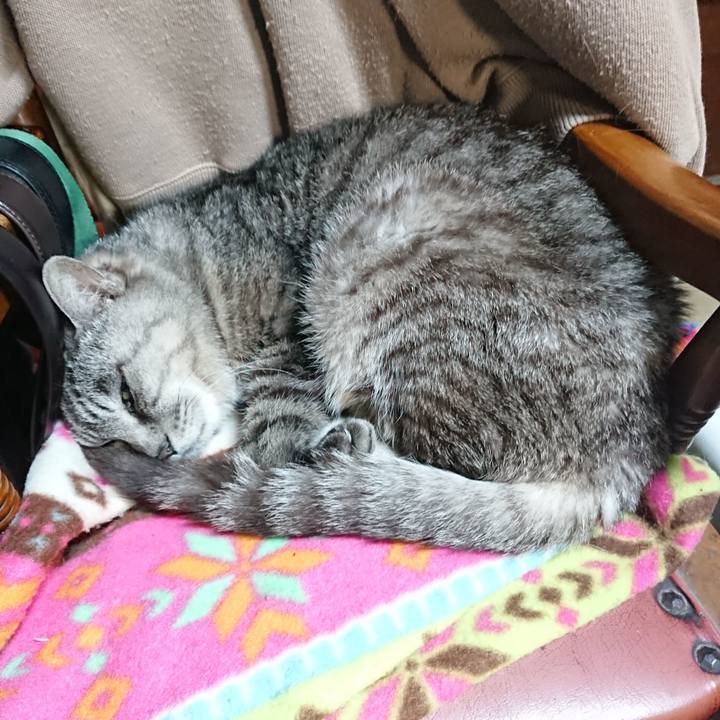 D5aa78fe 9aca 4cab 81d1 034022f2542f 1571394071975