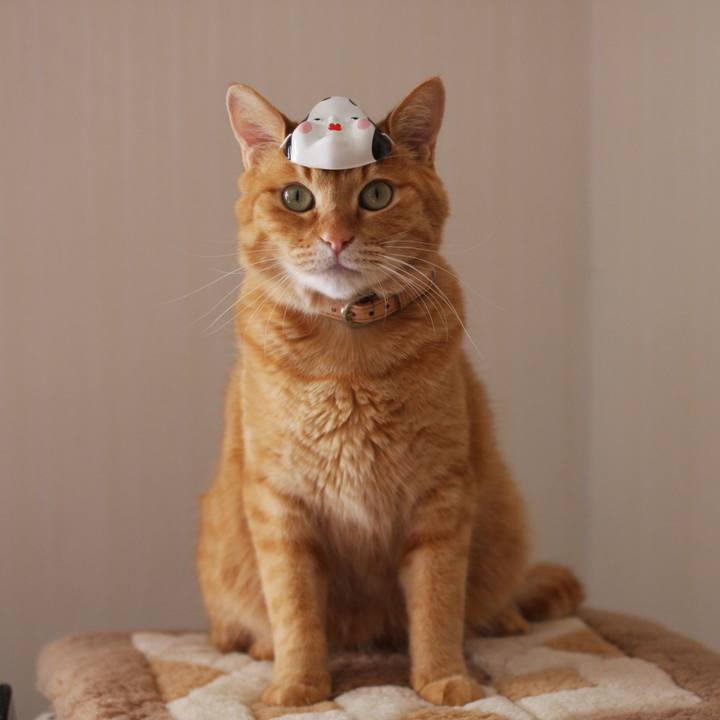 D5aa9adf 467b 4857 8edc c1f3aed81bd4 1738468635175