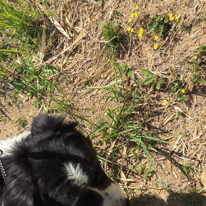 D5aabaf5 2cea 4b4a 950a 37614969201c 1554358864286