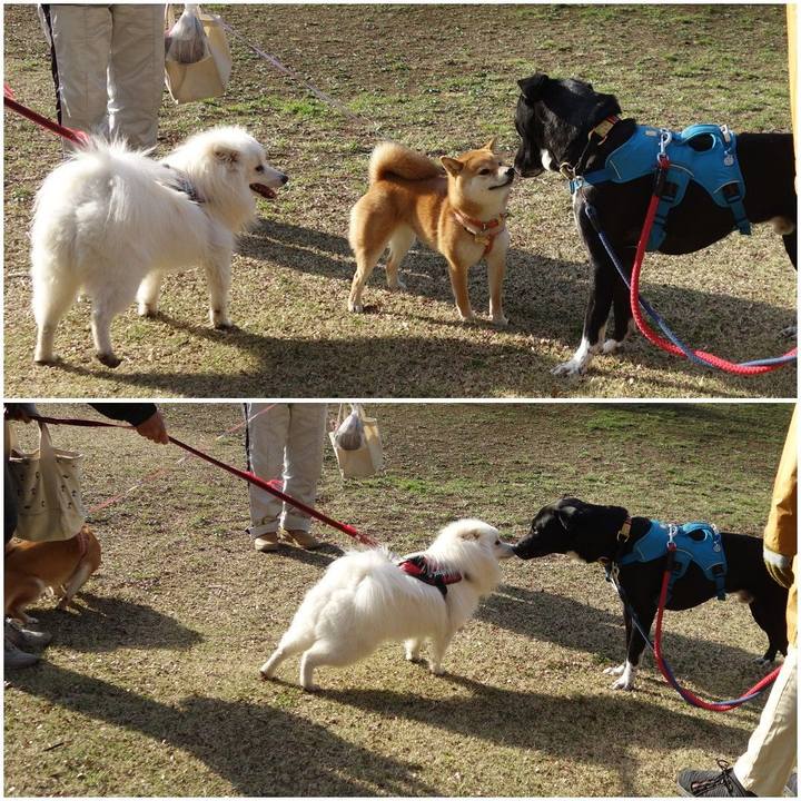 D5aae091 0eb1 48c8 b80f 52bd13736186 1616024899528