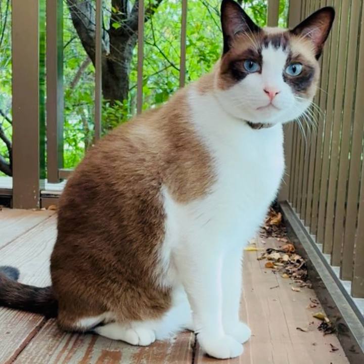 D5ab00c7 b127 4783 9c59 a3ad62f1d5f9 1755519495105