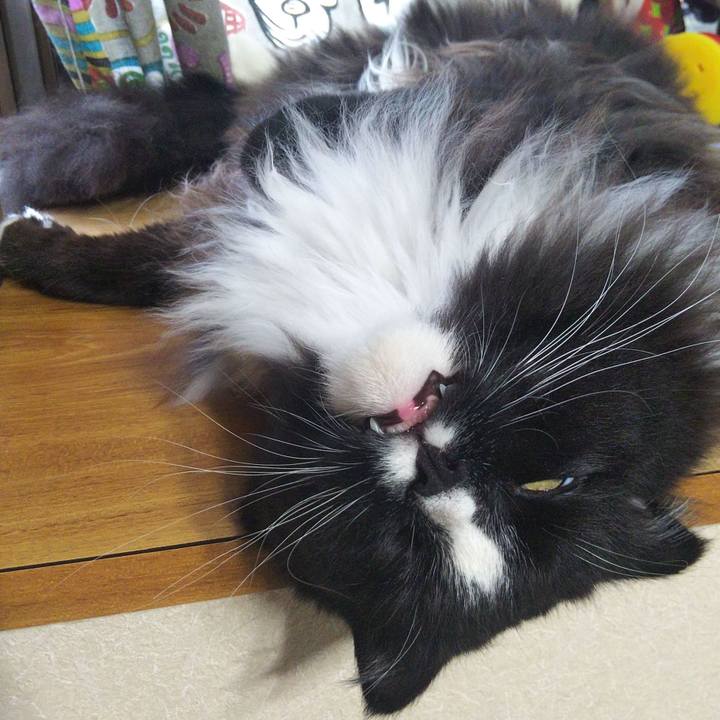 D5ab1eea 4023 4d55 82a4 0df3a42b2aba 1656840090140