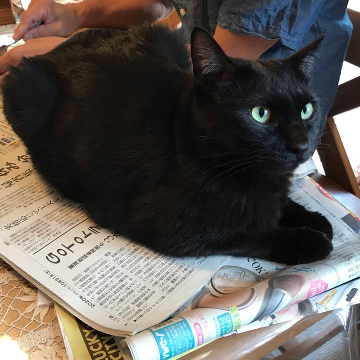 D5ab2e49 1dbf 4605 a2a9 54b62702279b 1604096797652