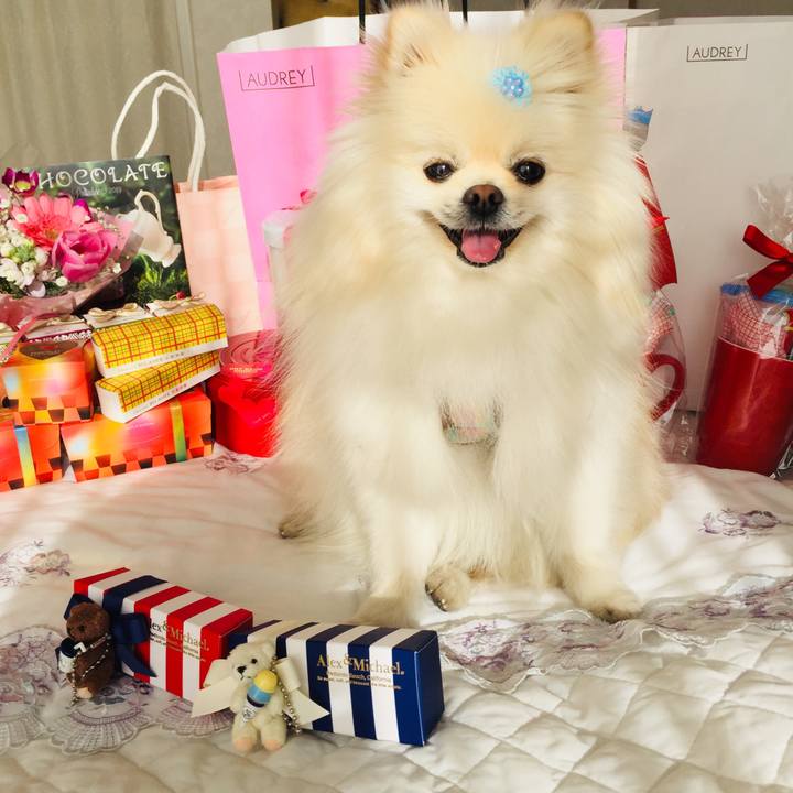 D5ab5d22 699e 4f5b 9aea 317649d1e1f8 1548309741649