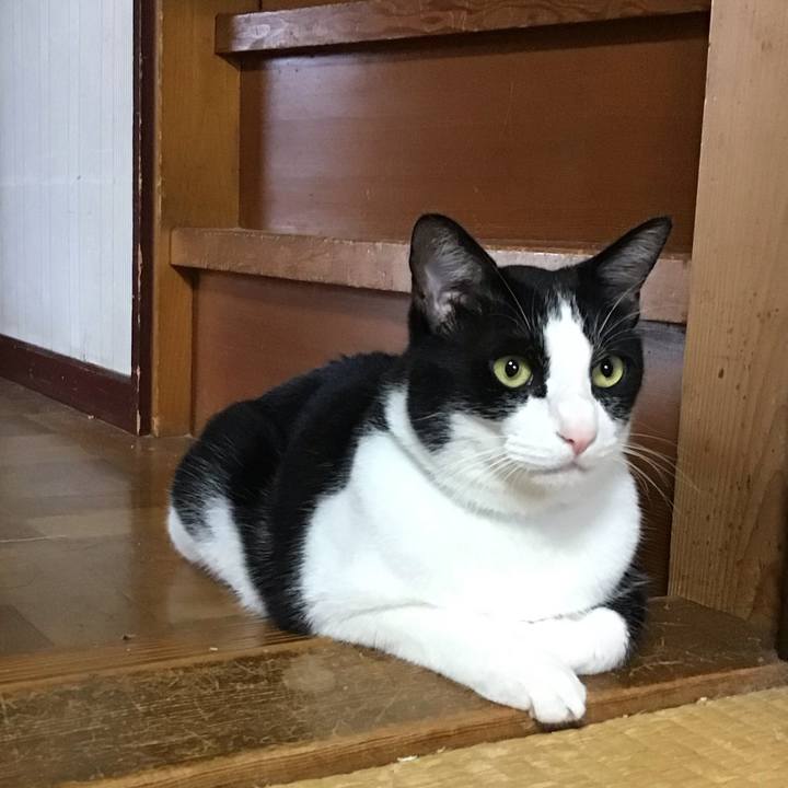 D5ab761f f91d 4d39 bd41 2a25ecebe8af 1718874638487