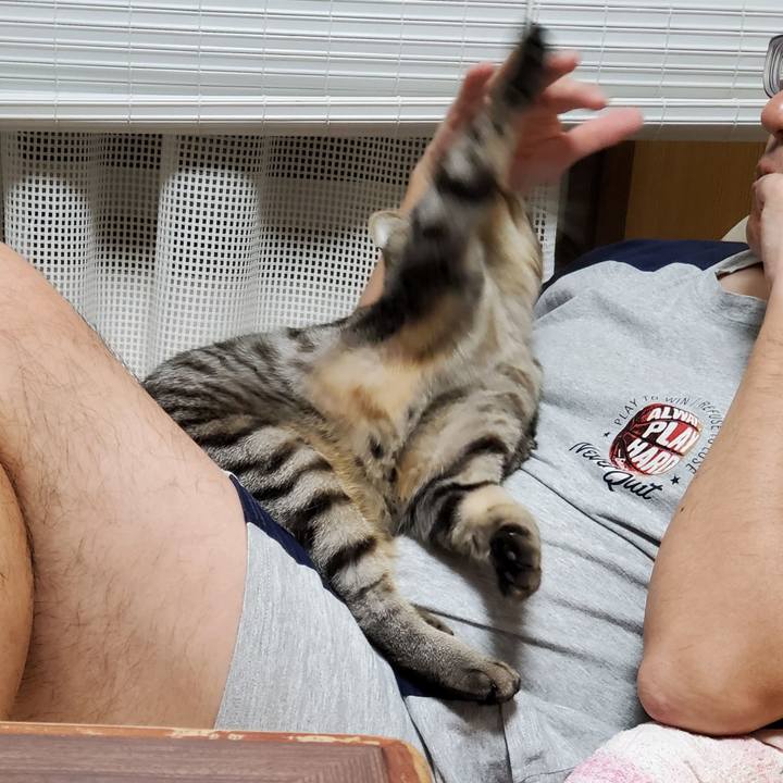 D5ab8cd3 026c 4f72 b118 aa3326db7218 1703262512393