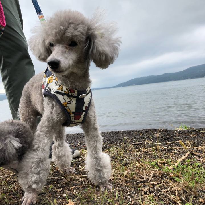 D5abe102 5c59 47b5 a0dd 2d564da5696a 1537269136643