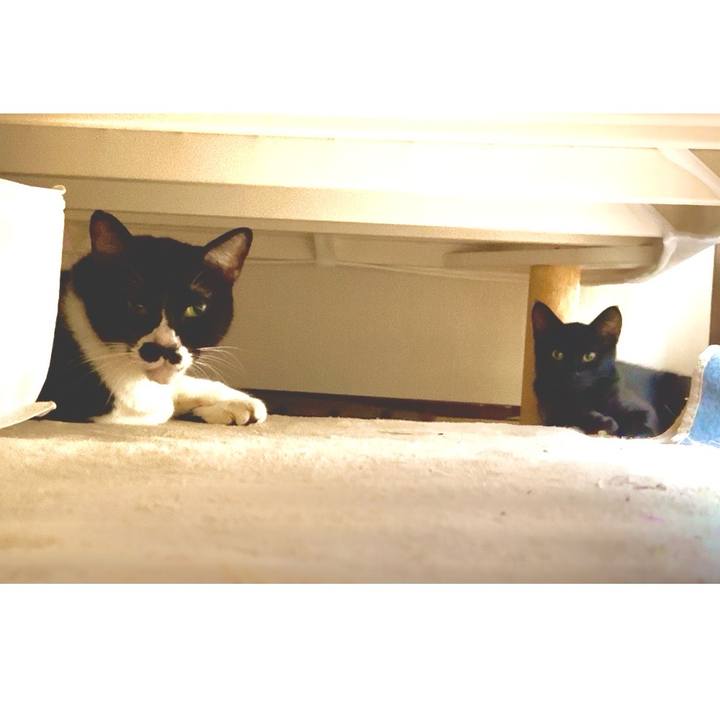 D5abe4d8 f5ba 45f6 a7c8 29db22800977 1726203571238