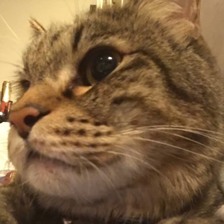 D5abf570 d3b2 4819 b5f4 c25c98a05d8a 1566652090636