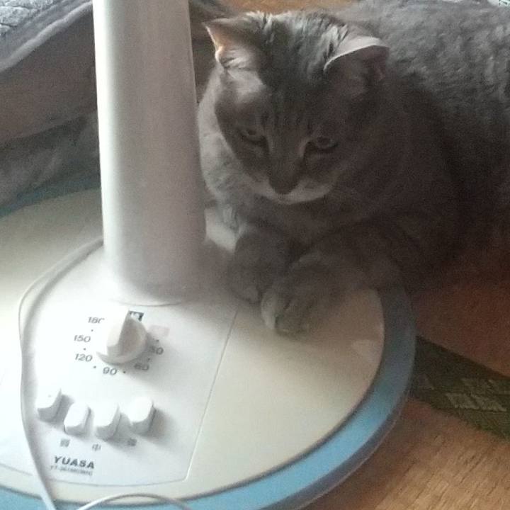 D5abf79a ab4b 4a13 b6b3 82a7df46afad 1620983241126