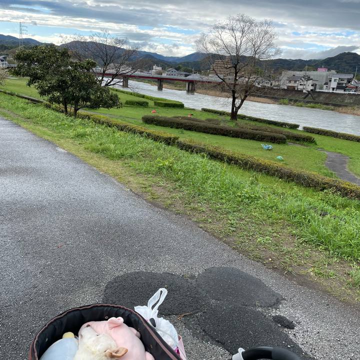 D5ac0a1a eec8 4cda b69a 5ffda1fb301c 1680863534954