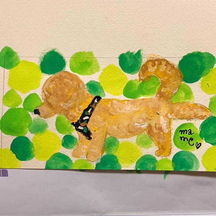 D5ac2238 71f1 4e82 a082 b1f2e6f99ca3 1746541513847