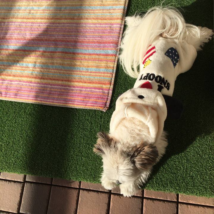 D5ac4cc7 ded0 47a1 a405 5d5326daa3ca 1510788277620