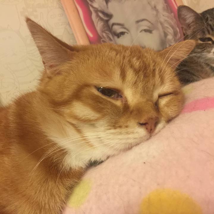 D5ac5a24 f141 4d3d 8079 5c24ce57fa8e 1552921084264