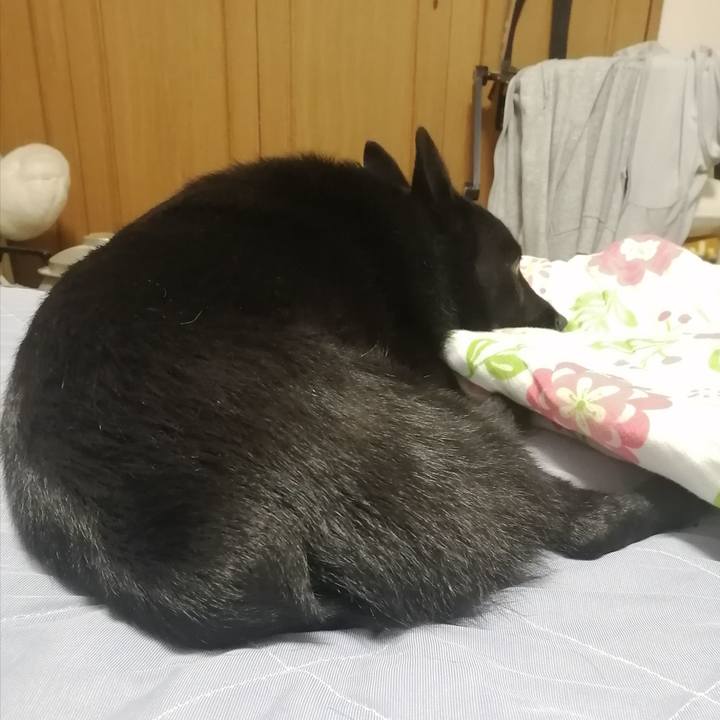 D5ac7dc2 0259 493e 9658 53f114673506 1658625583510