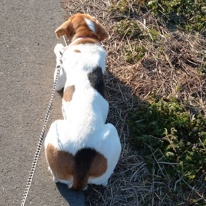 D5ac828e b3cc 4866 b6d2 9a4b2dafc386 1581748083231