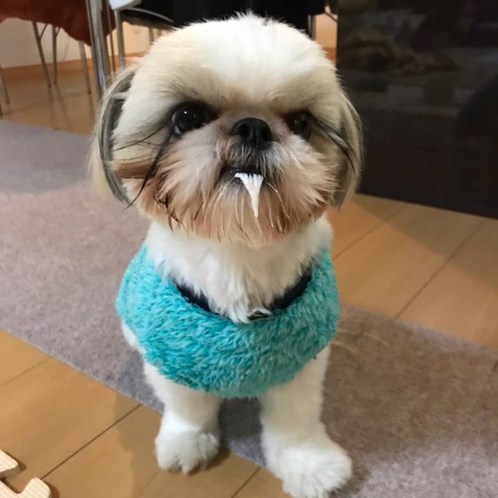 D5acc61c f673 4d8b a9cd 2dd80e3f0f01 1574852962061