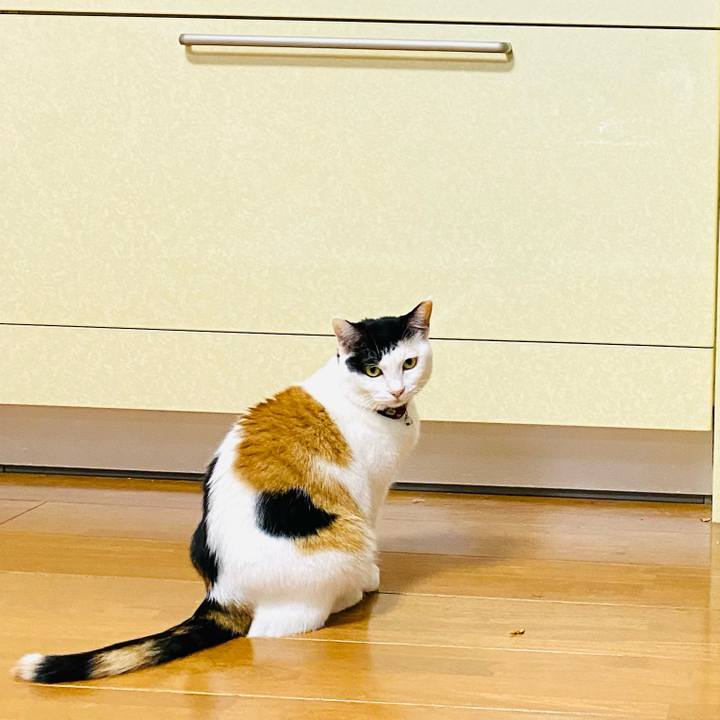 D5ace6d0 e4a0 4503 9be0 3f769dc82410 1670586852576