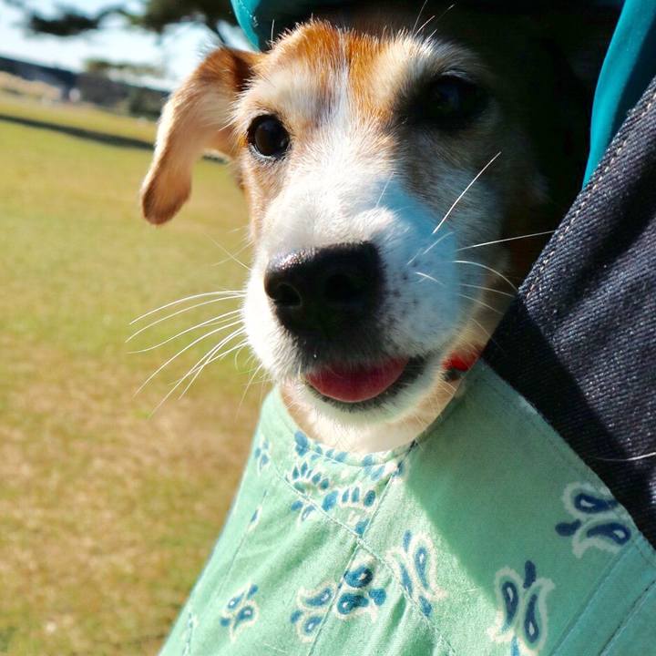 D5acf33c 20a1 4faf 8ac4 130eff9d8c0e 1513050104094