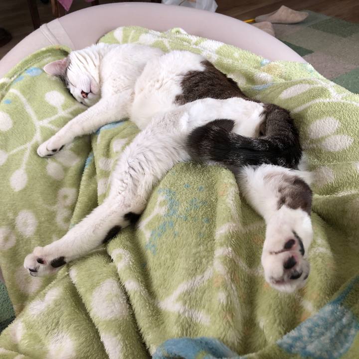 D5acff60 e3bb 480d 9c5b a540a5fdd0a4 1619498886090