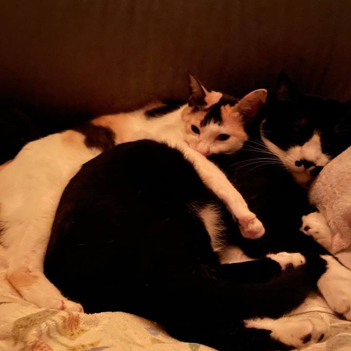 D5ad071e 0a61 4528 ad9c 177500b8faa7 1681774836853