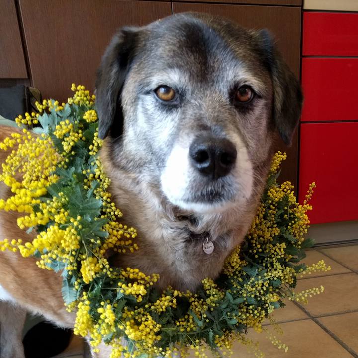 D5ad0862 7e1a 4e74 94d7 6d2033256132 1741517235880