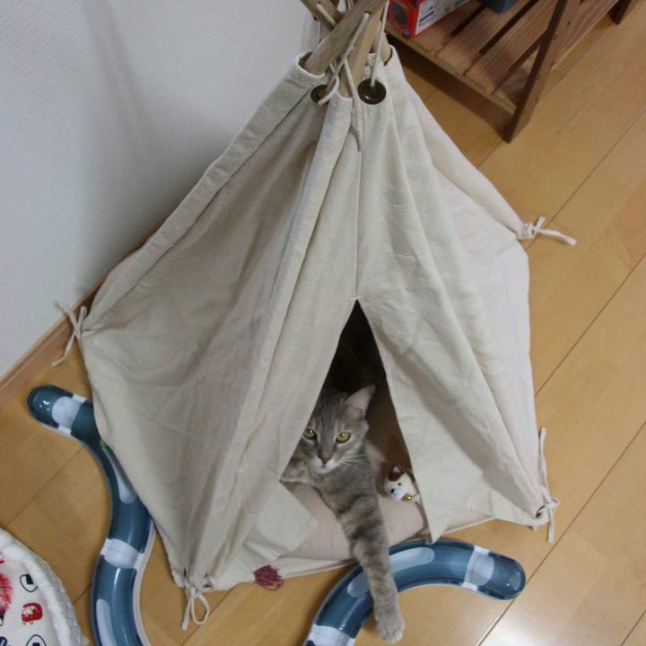 D5ad08eb ea65 429e a62f f719bd491fce 1543913708299