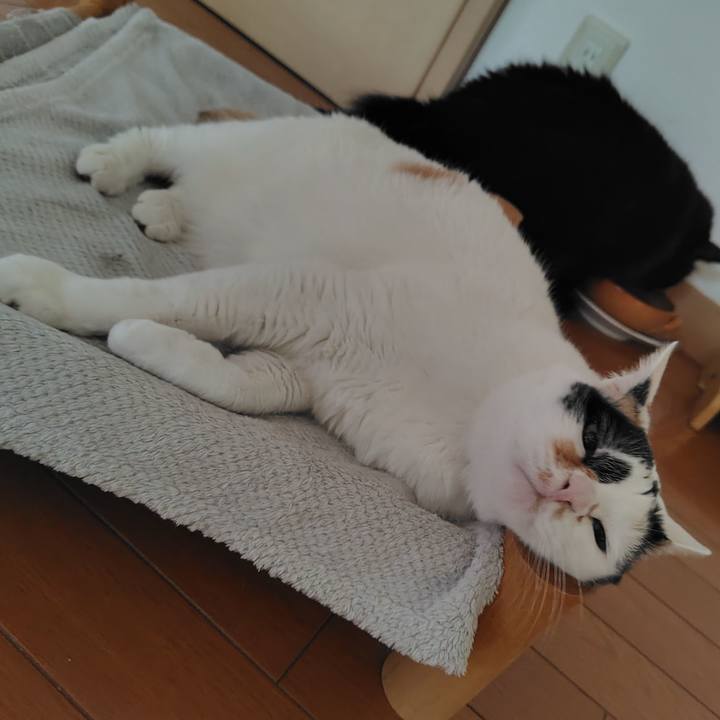 D5ad2cc3 12c2 4da2 9a04 7dd4e772a7b4 1769471910399