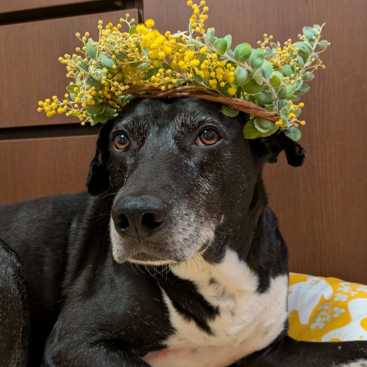 D5ad3670 bf81 4e60 a009 0459e2a0f106 1741429741605