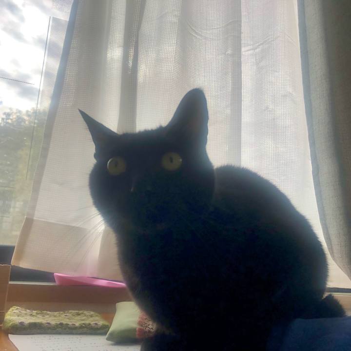 D5ad3e0f 3d34 4a3d 8bda 2197de728659 1666177173486