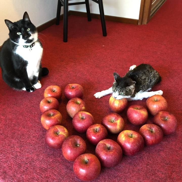 D5ad6f29 93bc 4803 99e8 6b39f65a0ee4 1543118271505