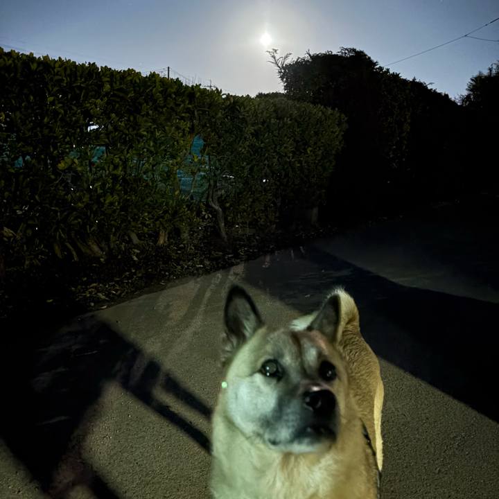 D5ada95e d1a6 4d1d b554 118aec74439b 1739449594296