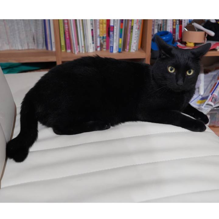 D5adc352 ddea 4645 b96f 7224049cf166 1593439739846