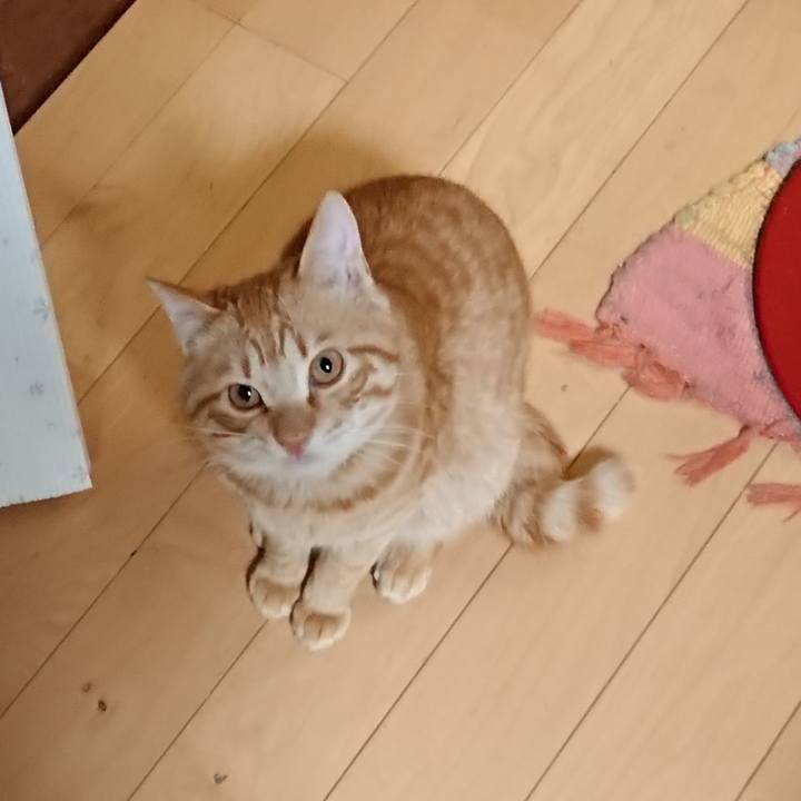 D5add17b 5111 4376 9b0b f7d3b6c8b341 1646478260257