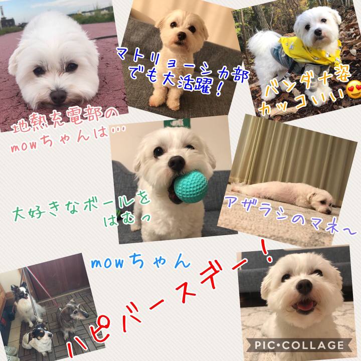 D5ade4df b016 44c9 a4e8 23edecf7142d 1514156747247