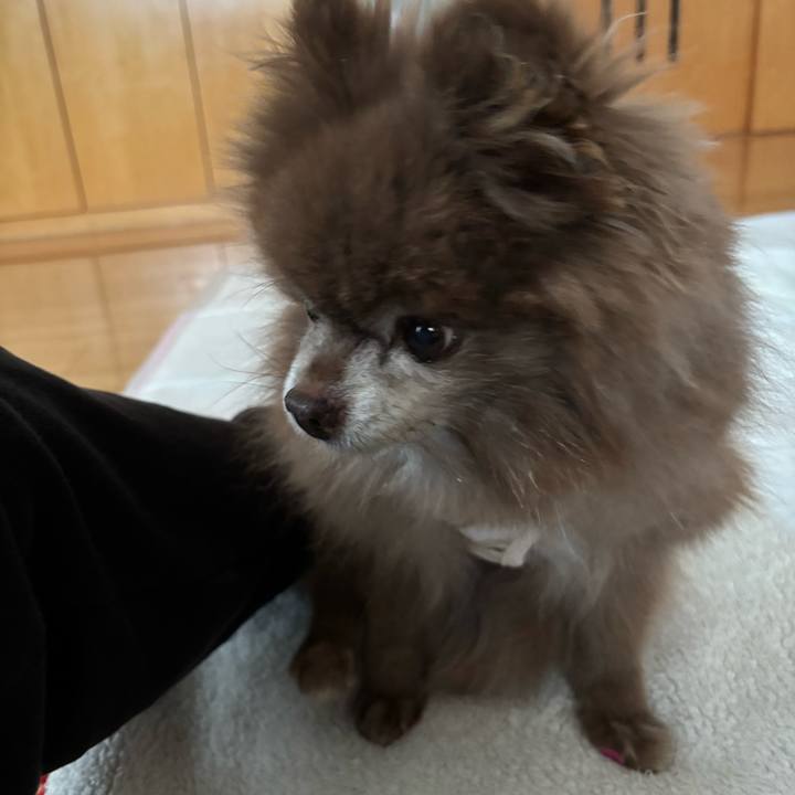 D5adebf2 86ee 4724 8f43 0eadc80688b0 1768098675700